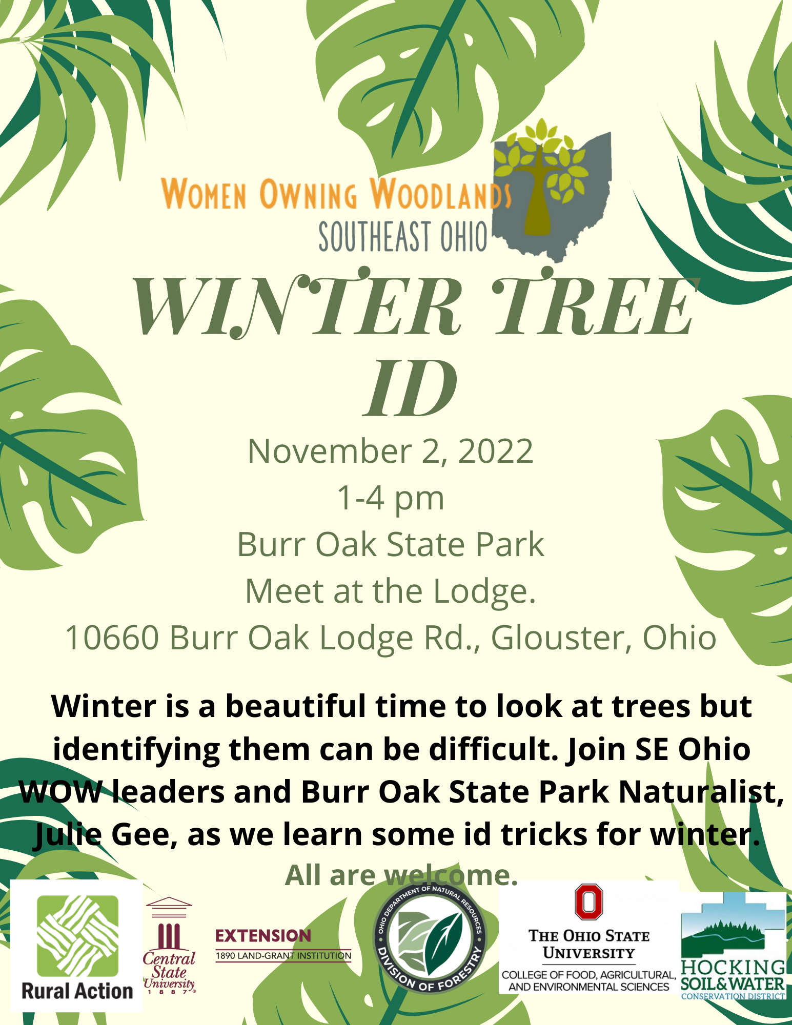 Winter Tree ID flyer