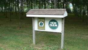 Picutre of Forest Stewardship and Tree Farm System signs on a wooded property.