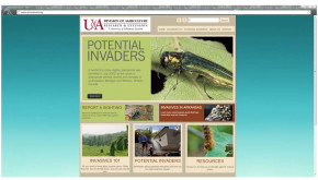 Screen shot of new web site: www.arinvasives.org