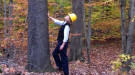 Forest Service Research Forester Susan Stout examining a tree