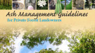 Ash Management Guidelines cover