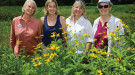 Pollinator Pathway pioneers: Louise Washer, director of the Norwalk River Watershed Association; Donna Merrill, executive director of the Wilton Land Conservation Trust; Mary Ellen Lemay, facilitator for the Hudson to Housatonic Regional Conservation Partnership (H2H), outreach coordinator for the Aspetuck Land Trust and chairman of the Trumbull Conservation Commission; and Kimberly Stoner, who works in the Department of Entomology at the CT Agricultural Experiment Station. Photo: Erik Trautmann
