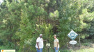 Edna and Tyrone Williams at their farm and forest, Fortee Acres.