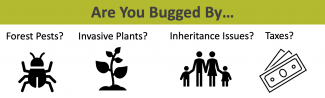 Are you bugged by forest pests? Invasive plants? Inheritance issues? Taxes? 