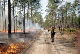 USFS conducting controlled burns