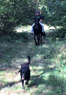 Female horseback rider and her dog enjoying a wooded trail. 