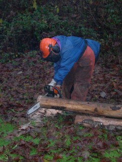 Person with a chainsaw cutting wood