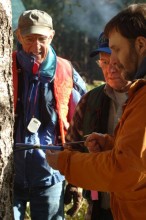 Man measuring tree