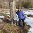 Laney Wilder standing next to a sugarbush tree she tapped for syrup.